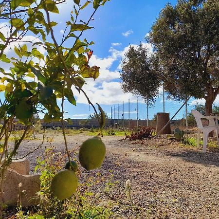 Beautiful private Cave/Suite near climbing area Santa Cruz de Tenerife Exterior foto